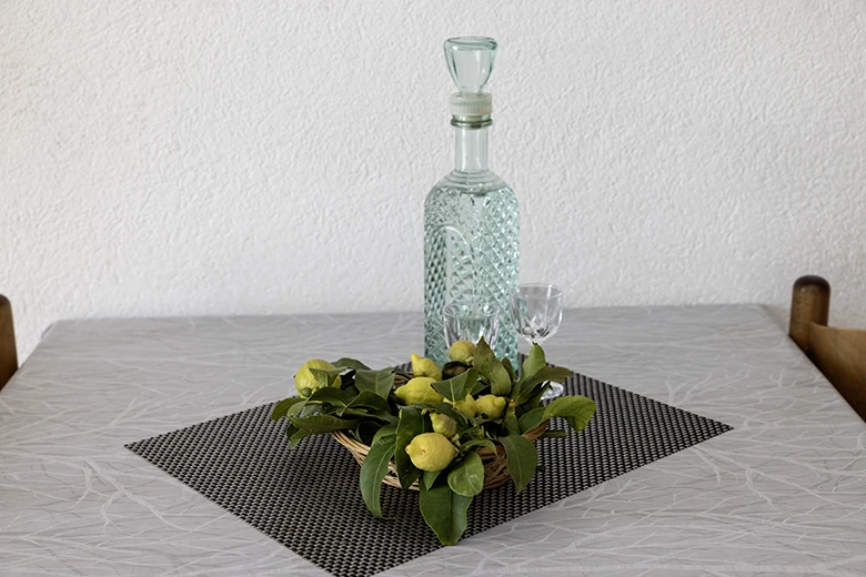 Apartments Grgo Talijančić, Igrane - details - lemons